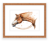Quarter Horse - Watercolour Mini Print